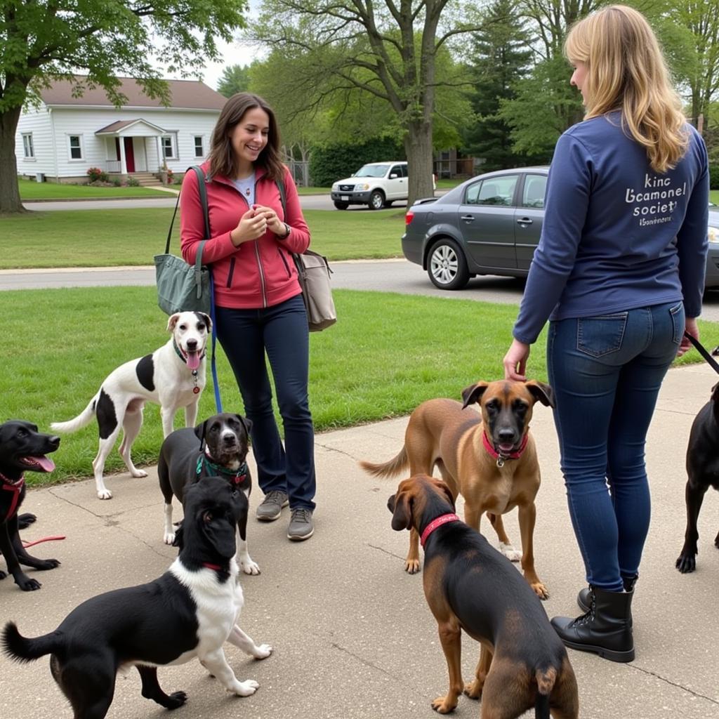 Dakin Humane Society's Community Engagement in Leverett