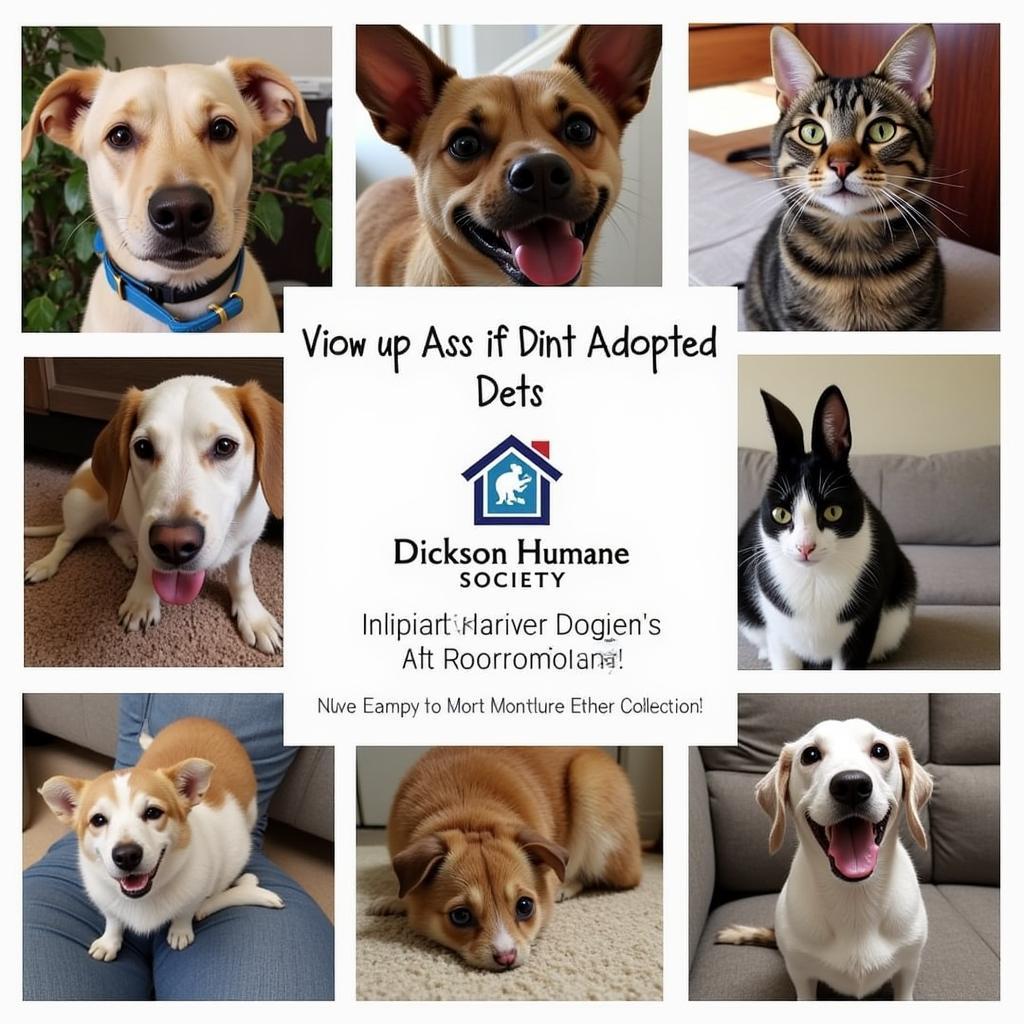 Dickson Humane Society Adopted Pets