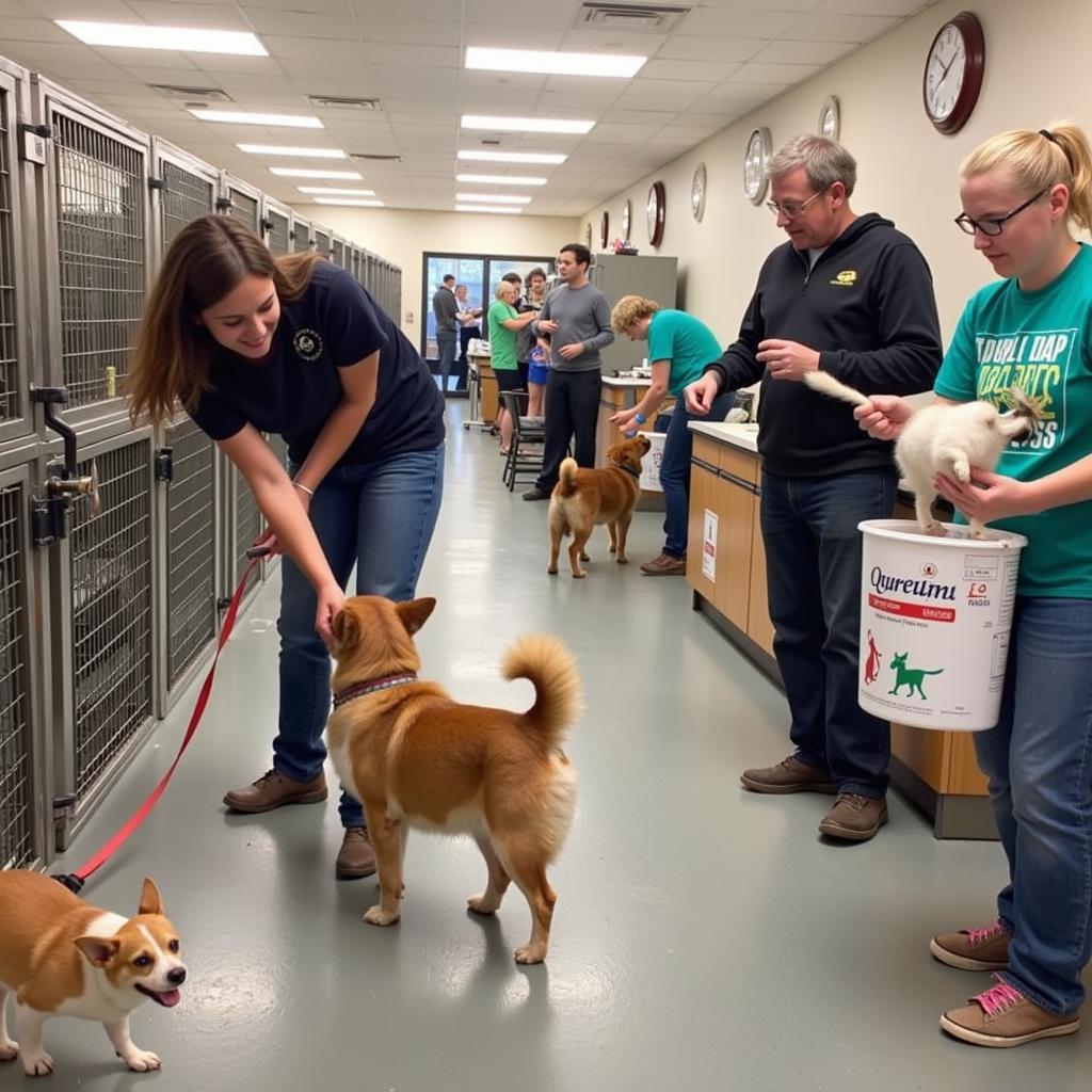 Volunteers actively engaging with animals at the Eaton Humane Society