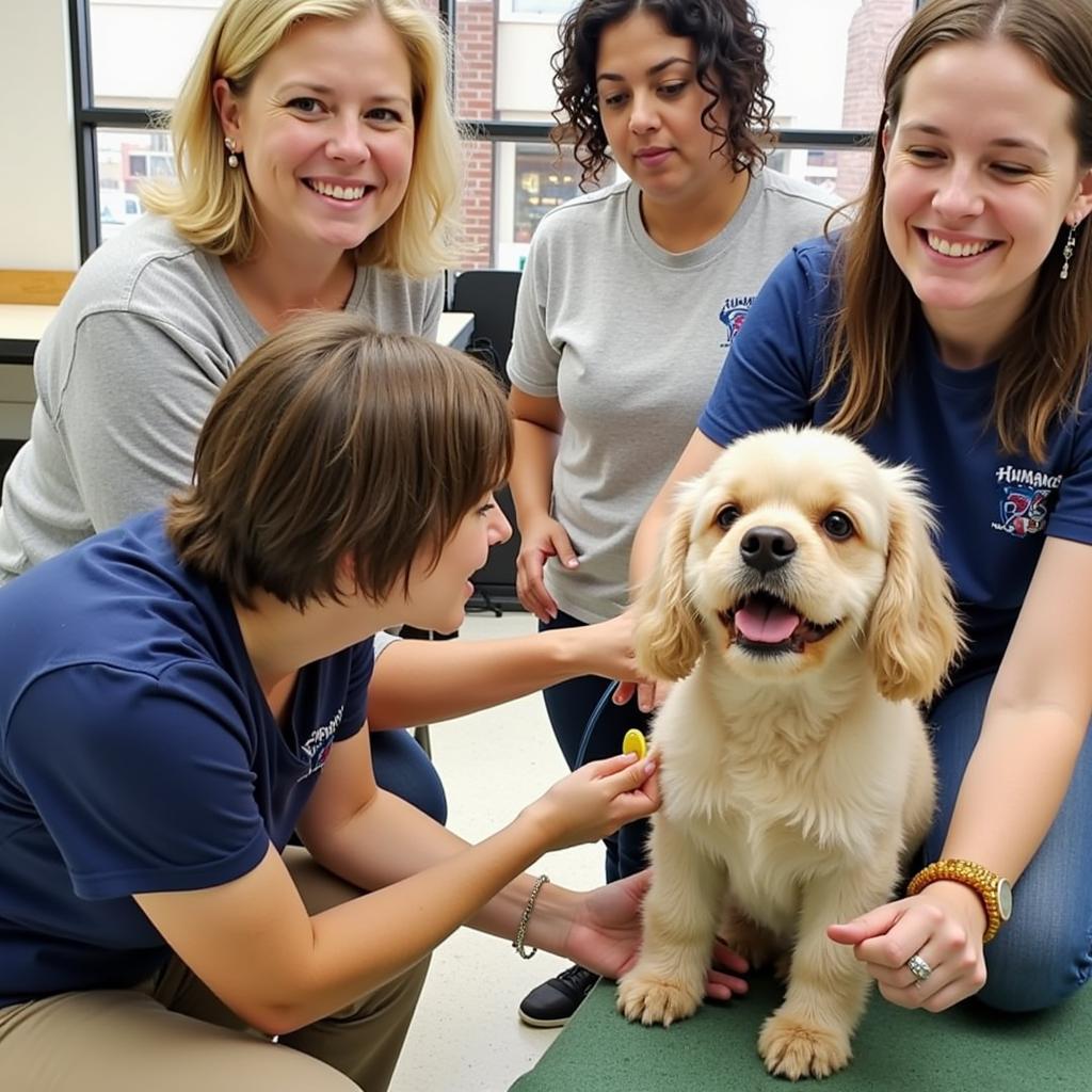 Volunteers at the Escambia County Humane Society