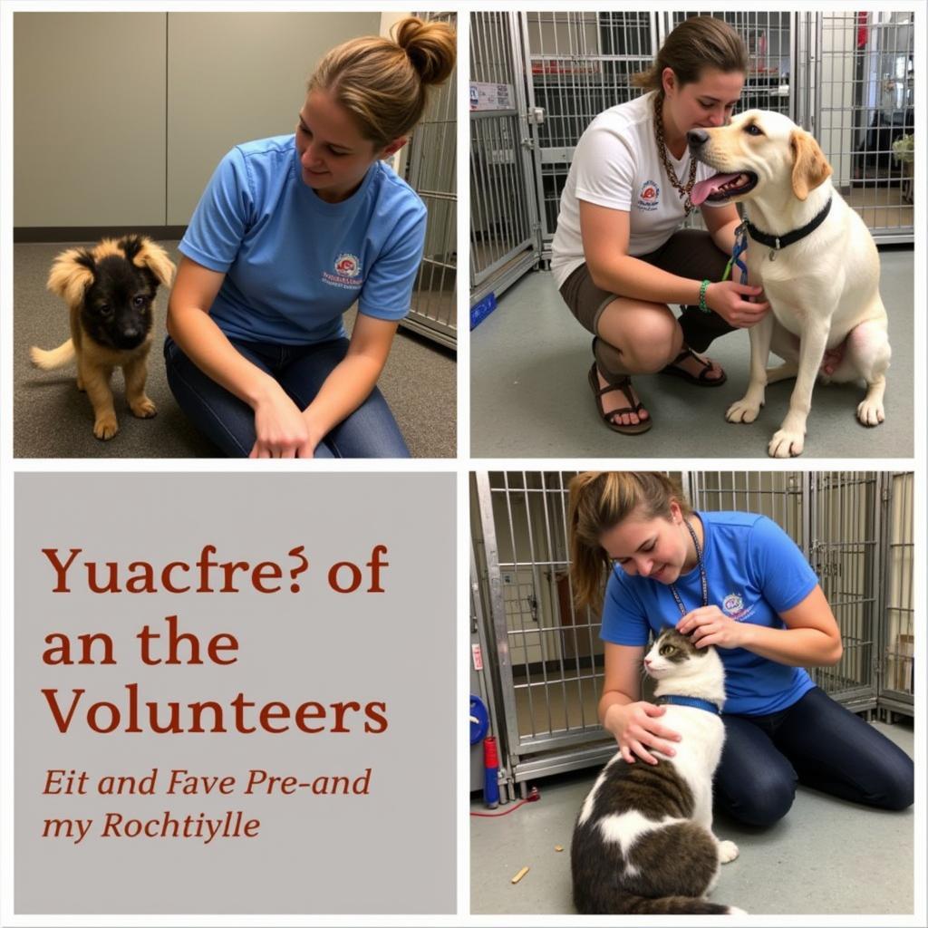 Humane Society Durham Volunteers