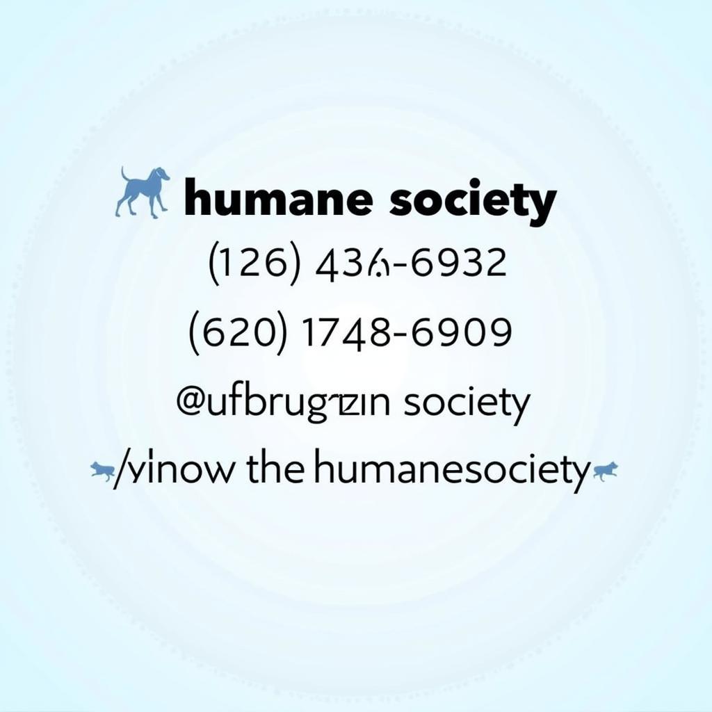 Contacting the Humane Society New Smyrna Beach