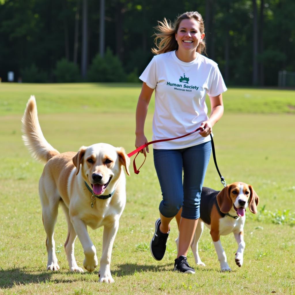 Volunteer Walking Dogs at the Humane Society Wetumpka AL