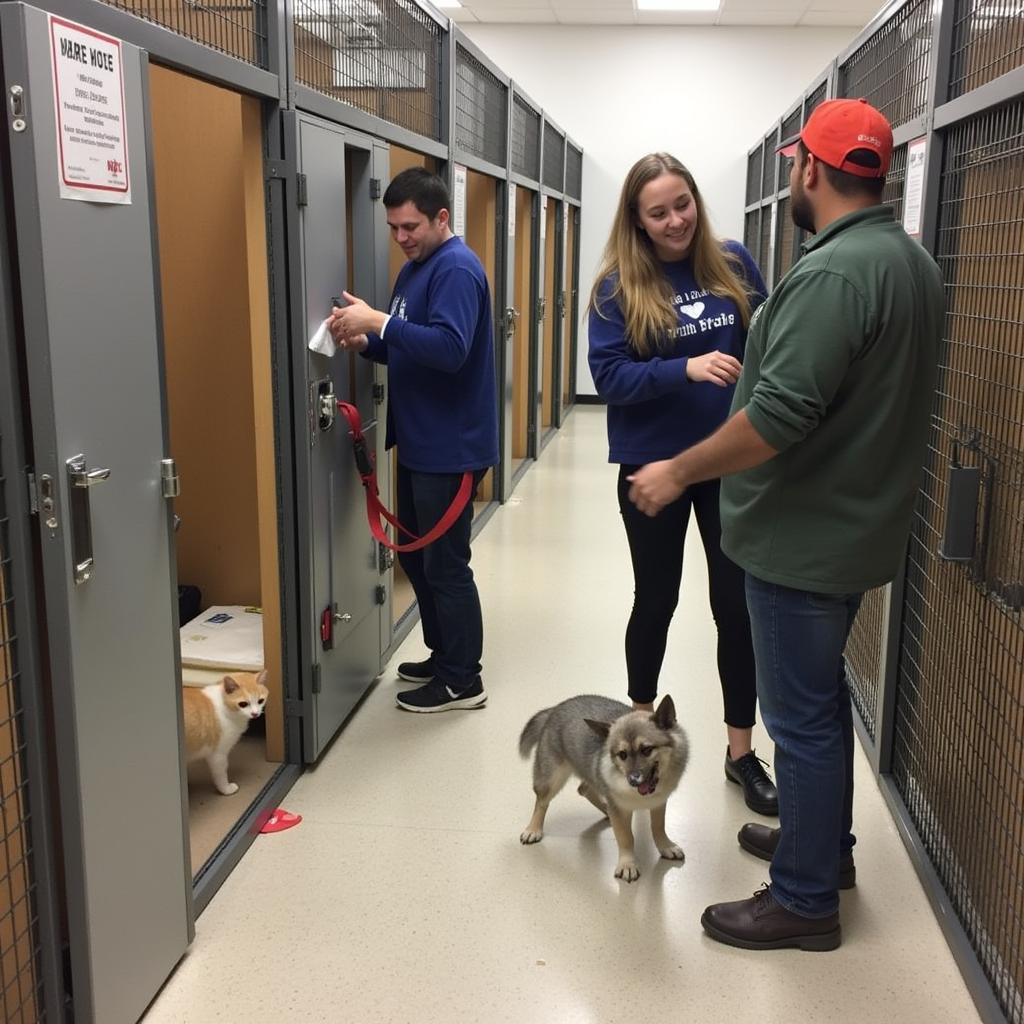 Humane Society White Mountains Volunteers