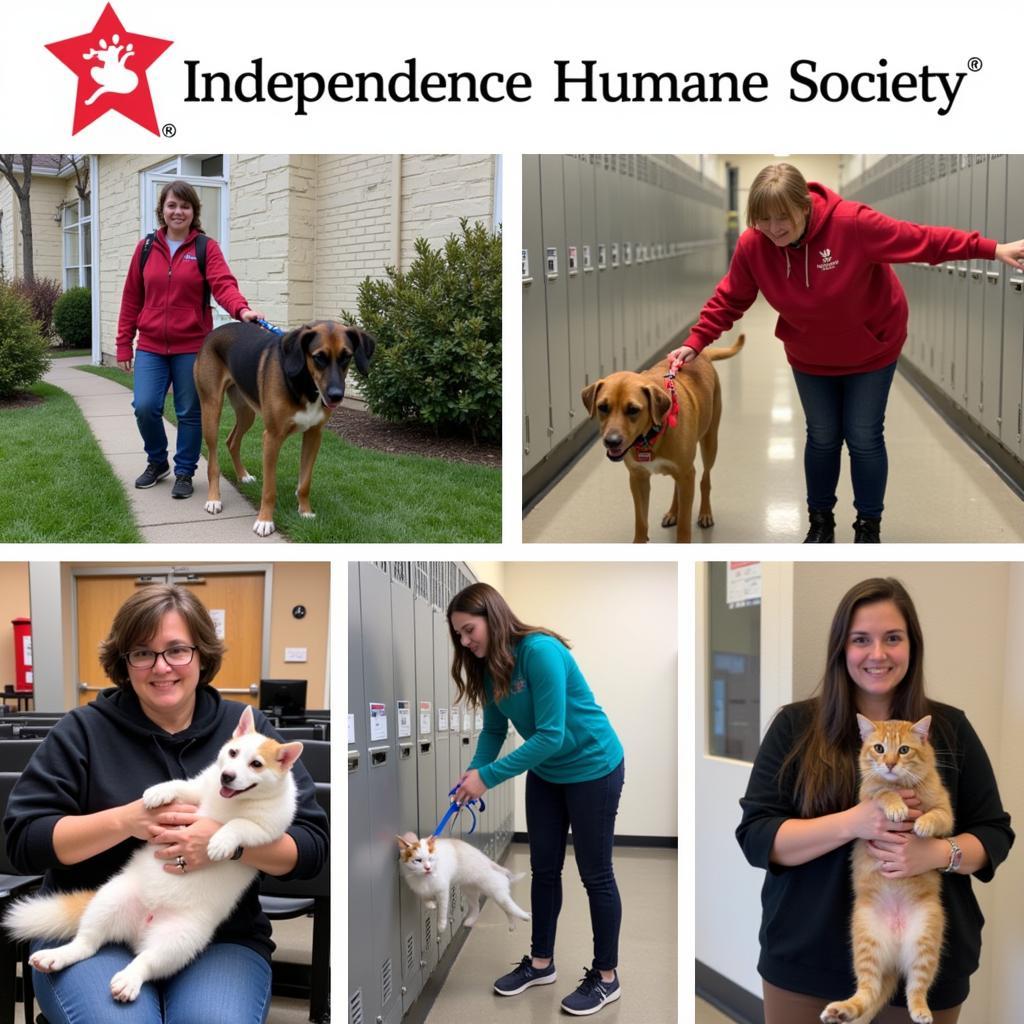 Volunteering at the Independence Humane Society