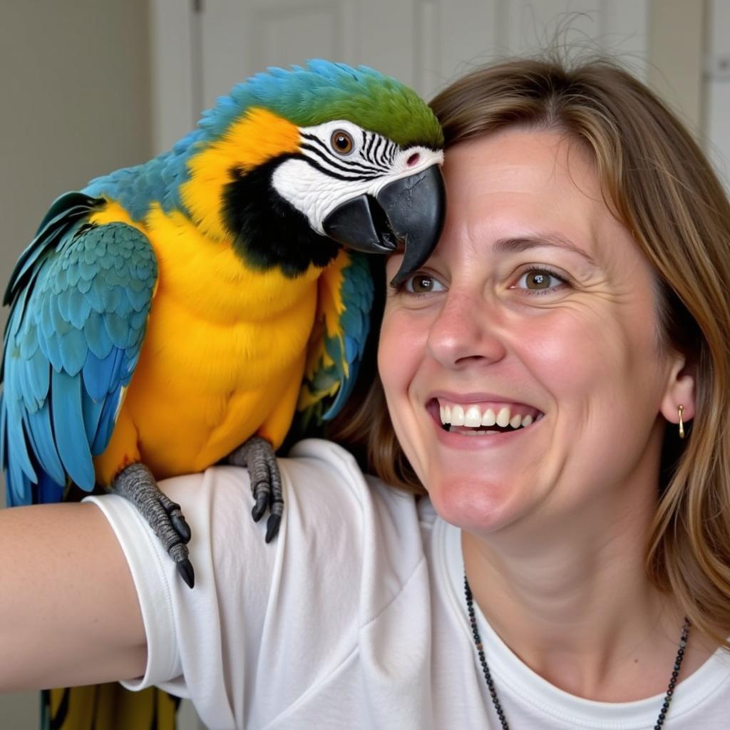 Long Island Parrot Owner with their Macaw