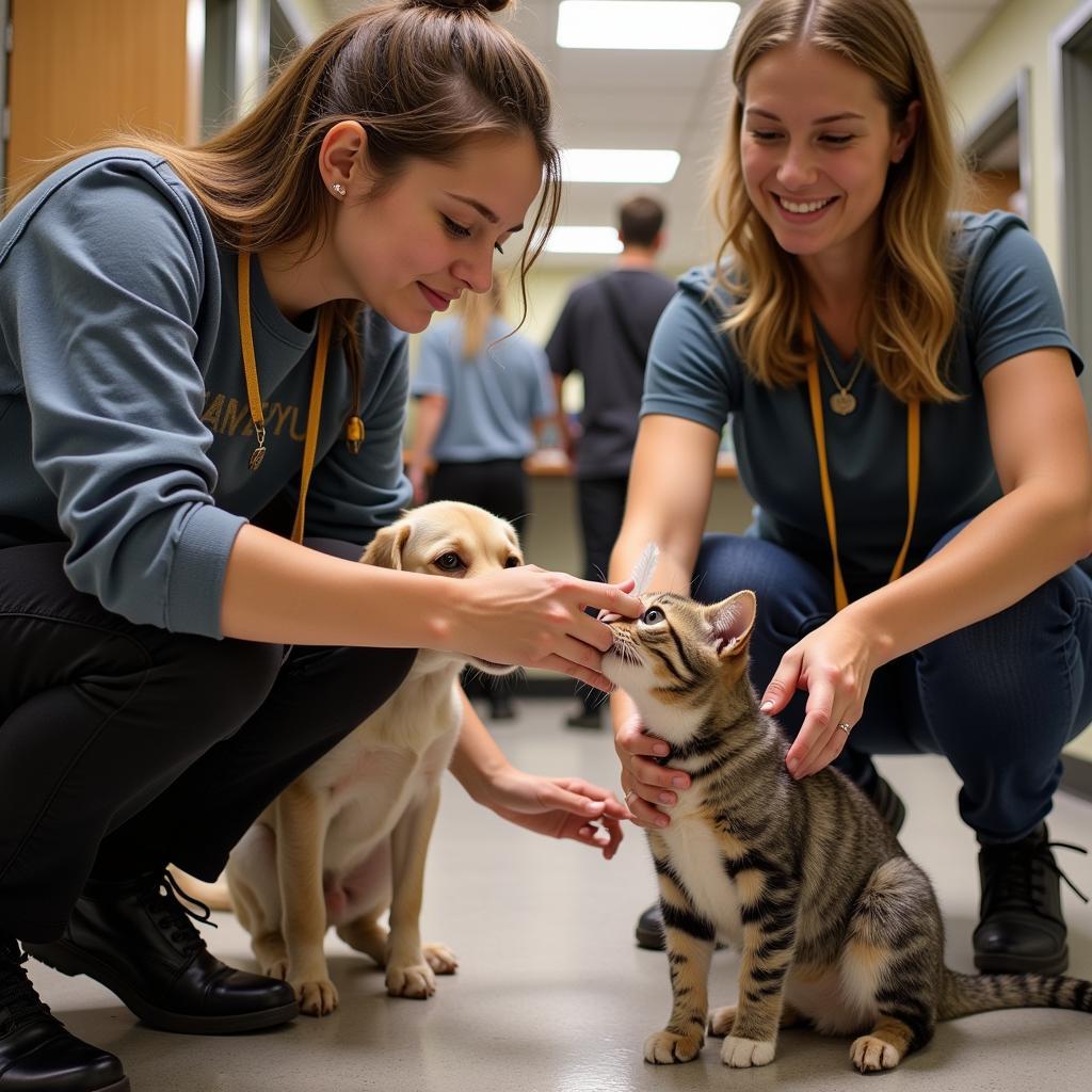 Volunteers interacting with animals at the Marion Area Humane Society