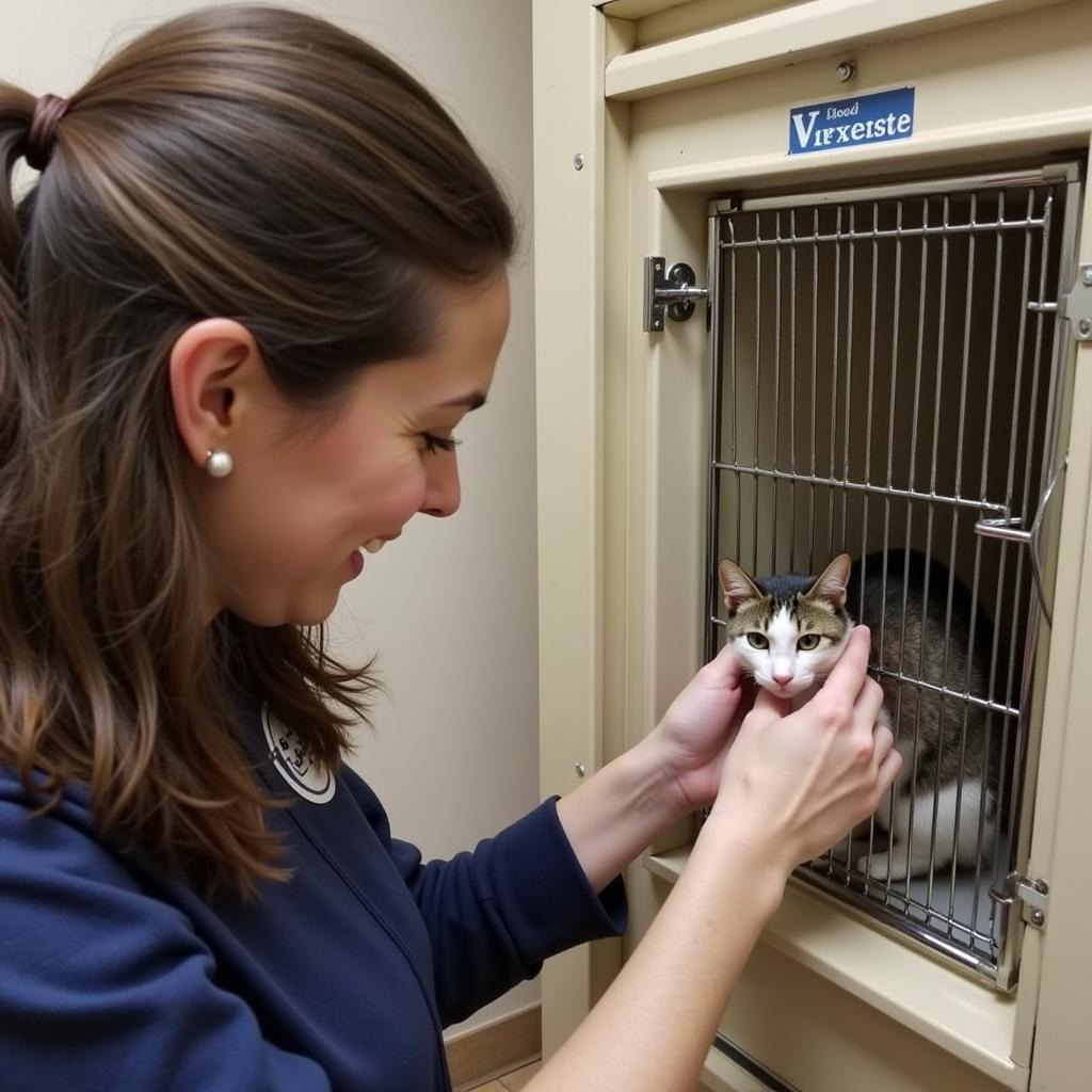 A volunteer at Second Chance Humane Society comforting a cat awaiting adoption.