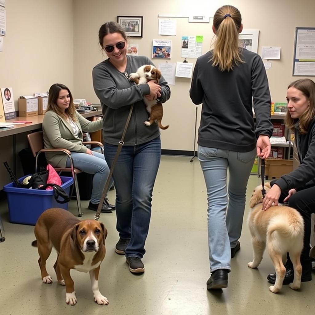 Volunteers interacting with animals at the Suffolk Humane Society