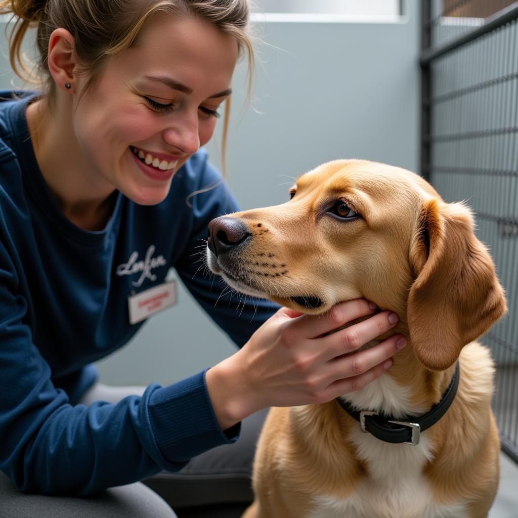 Volunteering at Michigan City Animal Shelter